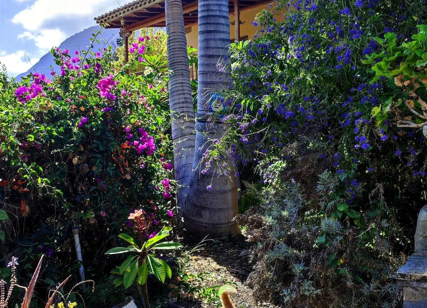 Rivendell Eco Lodge El Paso 0*,  Espagne